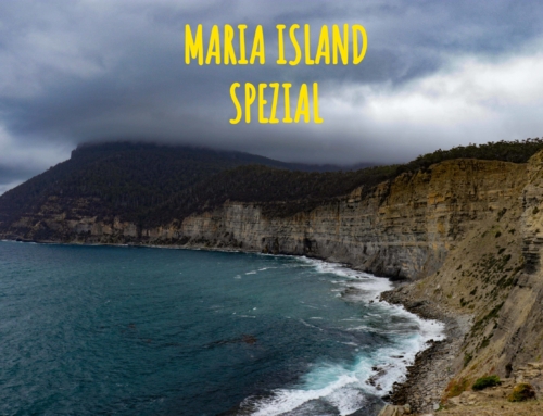 Maria Island Spezial