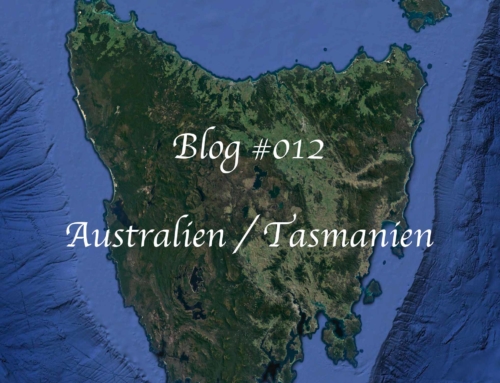 Tasmanian Devil Unzoo
